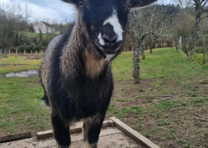 La Colongere